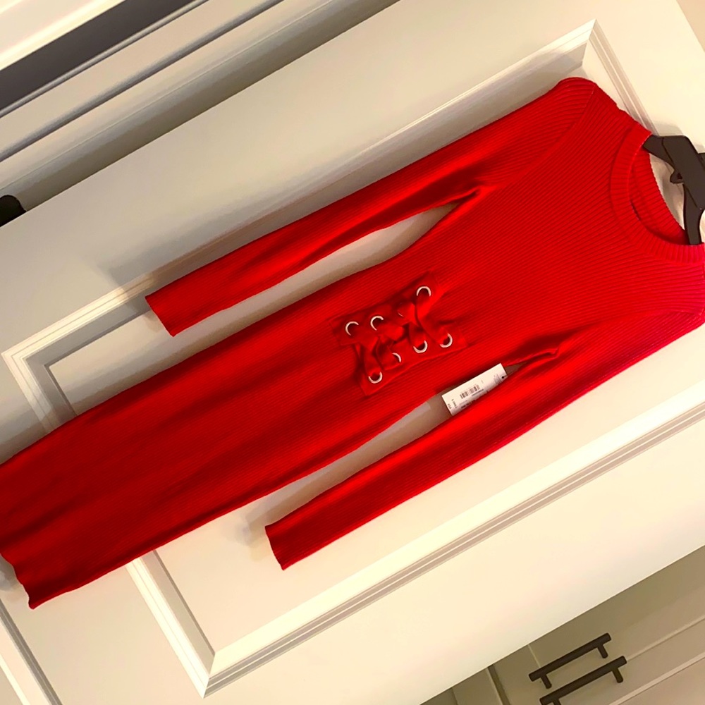 NWT Bodycon Dress